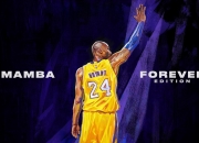 PG电子官网-魔术完胜深圳队，欧文高光表现点燃全场